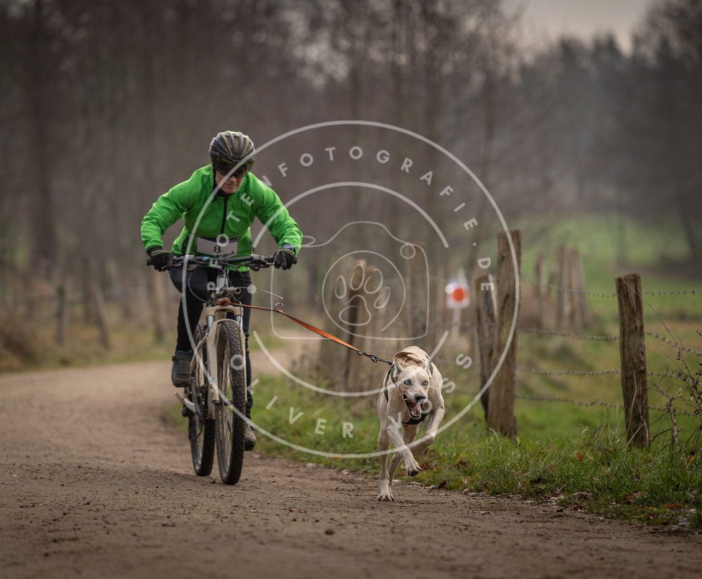 Pfotenfotografie_DV3A1652 | Hundefotografie, Tierfotograf, Pfotenfotografie, Fotoshooting Hund, Hunde Portrait, Hundesport, Hundeportraits, Heideshooting, Hunde, Sportfotograf, Hundefotograf, Turnierhundsport, THS,  - Realisiert mit Pictrs.com