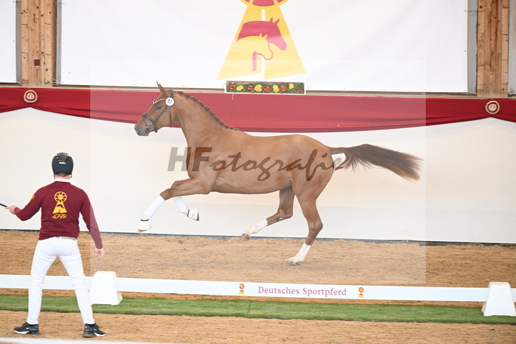 Kat.-Nr. 86 v. Vitalis_Bachinger_2250870 | hf-fotografie - Realisiert mit Pictrs.com