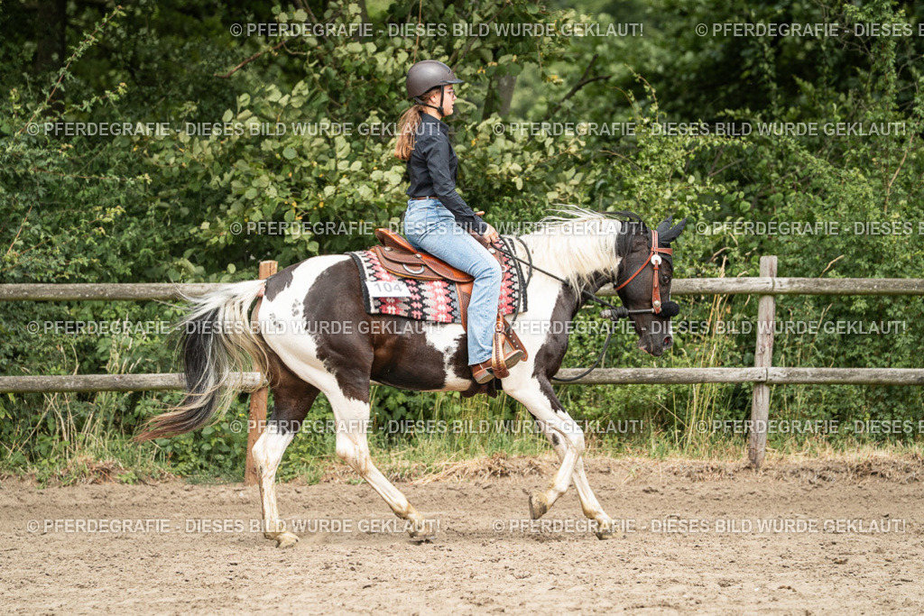 DSC01621 | Pferdegrafie