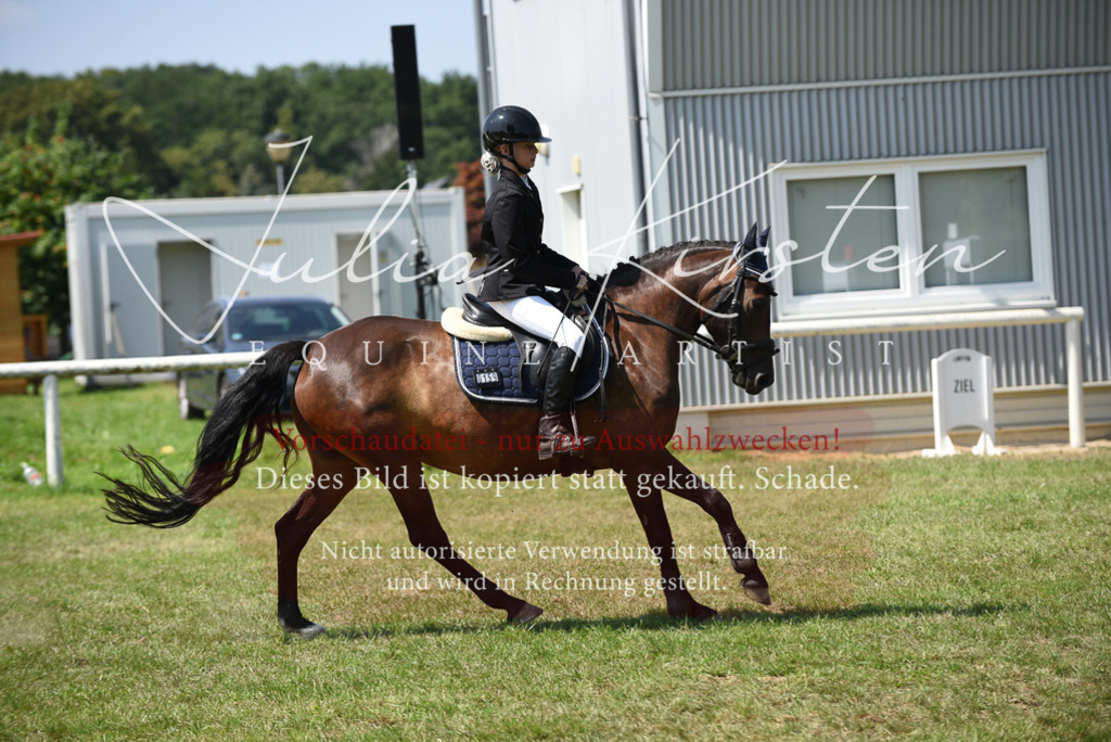 DSC_9916 | Pferde- und Turnierfotografie in Westsachsen. Pferdeportraits, Auftragszeichnungen und intuitive Kunst.