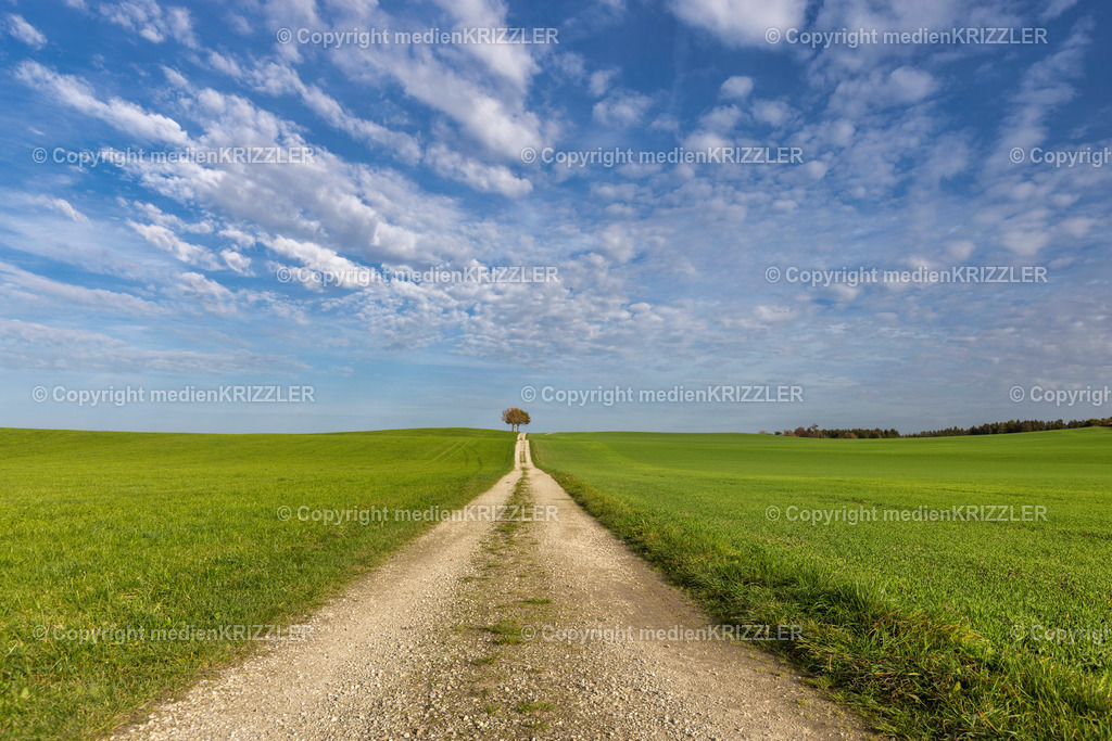 _J3A8970 | medienkrizzler - Realisiert mit Pictrs.com