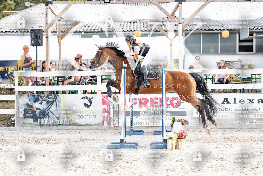 CK906914 | Turnierfotografie Pferdefotografie Trier Rheinland-Pfalz Pferdesport Reitsport Tierfotografie Sportfotografie Pferdevideo Pferdevideografie Equestrianvideography equestrianphotography  - Realisiert mit Pictrs.com