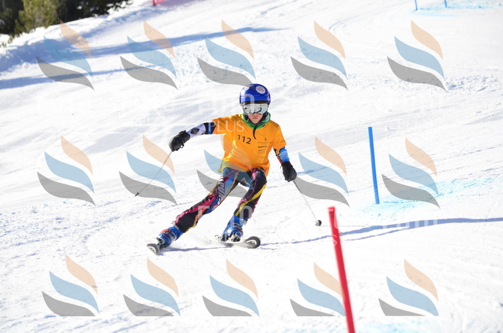 C6293 | holidayphoto