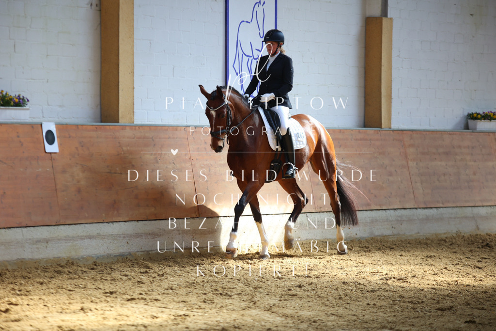 IMGT6987 | pl-fotografie