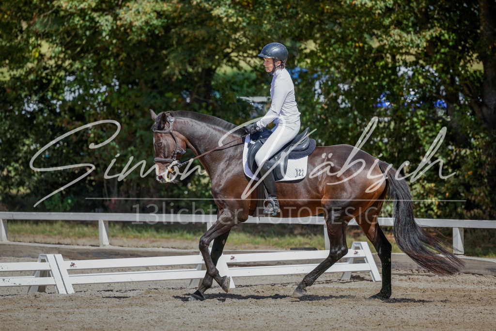 20250906-_3LI4529 | Tierfotografie Pferde, Hunde, Katzen, Haustiere.
Turnierfotografie Reitturniere, Reiten, Springreiten, Dressur in Hanau, dem Main-Kinzig-Kreis und dem Rhein-Main- Gebiet um Frankfurt