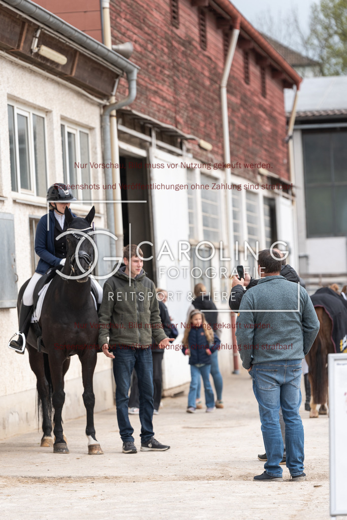 DSC01643 | Reitturnier_Göppingen_April_2026, Lilli_Horlacher, D'esperaux