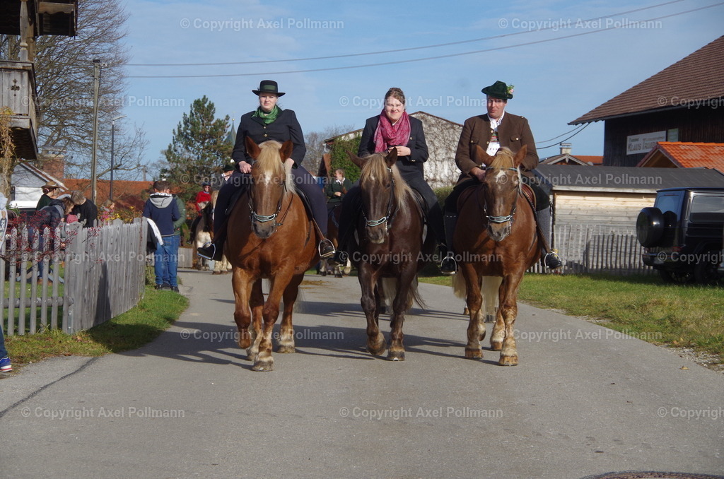 IMGP1571 | fotografiert von Axel PollmannLeonhardi Wallfahrt Benediktbeuern und Murnau, Fronleichnam, Fasching, Landschaft im Loisachtal und Benediktbeuern  - Realisiert mit Pictrs.com