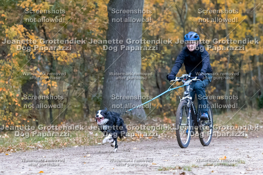 Dog Paparazzi - SD CaniX Championship 2025-287 | Dog Paparazzi Jeanette Grottendiek Fotografie & Videografie - Realisiert mit Pictrs.com