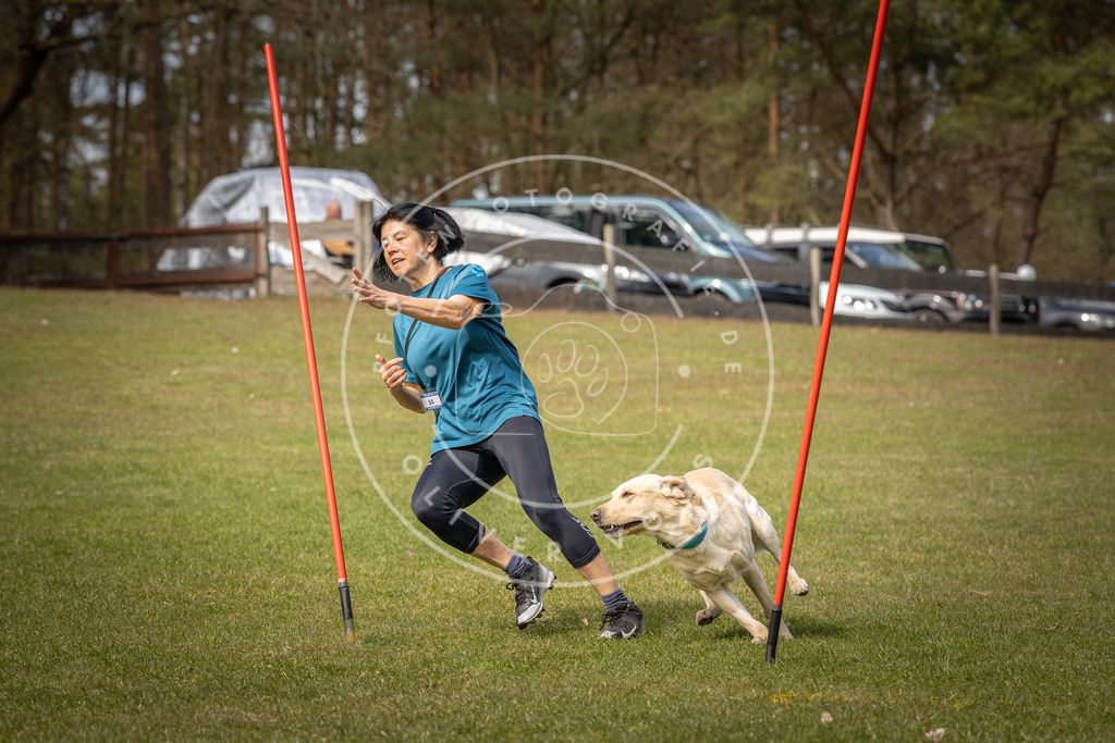 Pfotenfotografie_DV3A7290 | Hundefotografie, Tierfotograf, Pfotenfotografie, Fotoshooting Hund, Hunde Portrait, Hundesport, Hundeportraits, Heideshooting, Hunde, Sportfotograf, Hundefotograf, Turnierhundsport, THS,  - Realisiert mit Pictrs.com