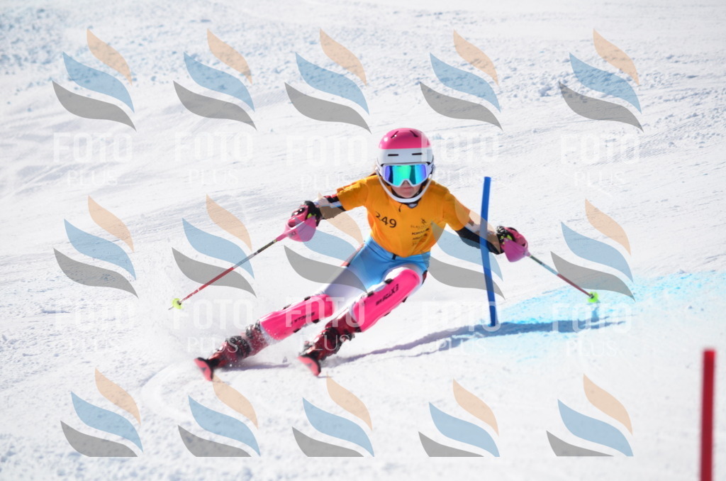 C8434 | holidayphoto