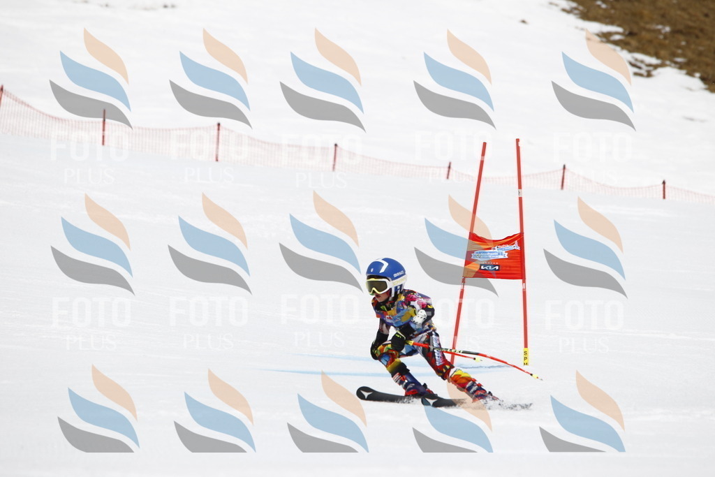 _U3G7158 | holidayphoto