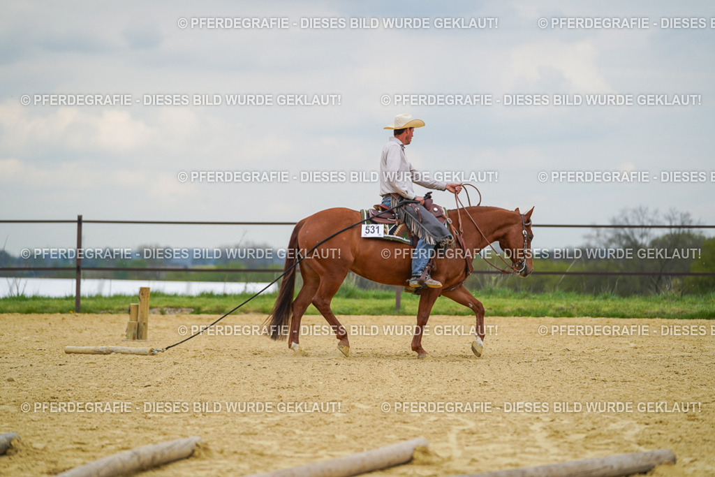 DSC07111 | Pferdegrafie