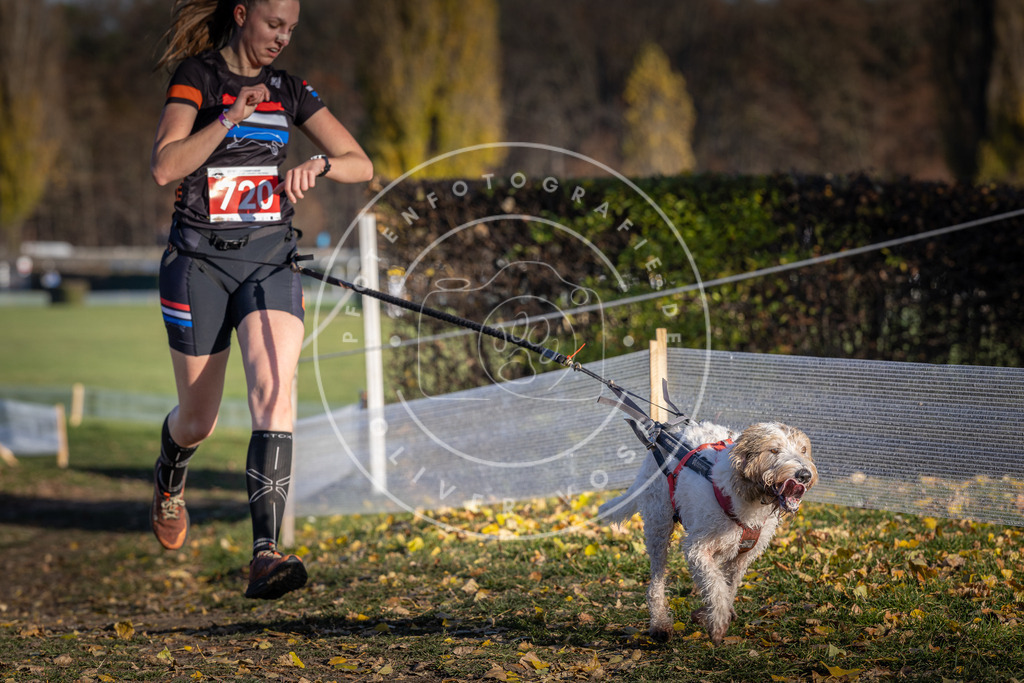 CaniXpix_DV3A1858 | Hundefotografie, Tierfotograf, Pfotenfotografie, Fotoshooting Hund, Hunde Portrait, Hundesport, Hundeportraits, Heideshooting, Hunde, Sportfotograf, Hundefotograf, Turnierhundsport, THS,  - Realisiert mit Pictrs.com