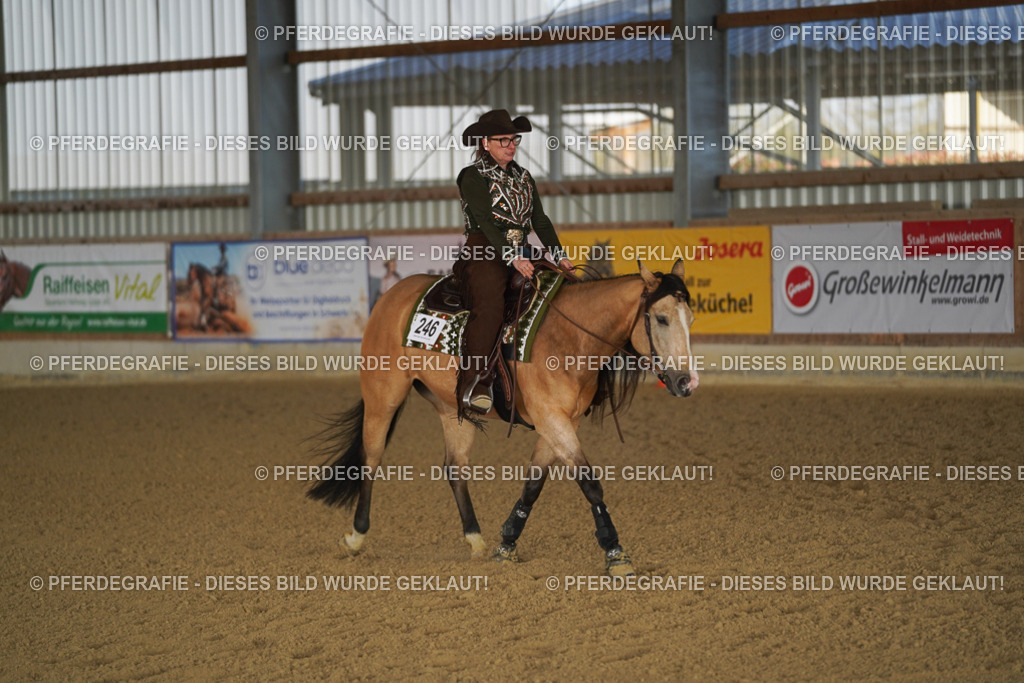 DSC08361 | Pferdegrafie