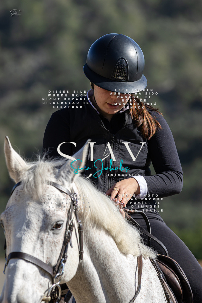 IMG_6371 | s-jay-photography - Realisiert mit Pictrs.com