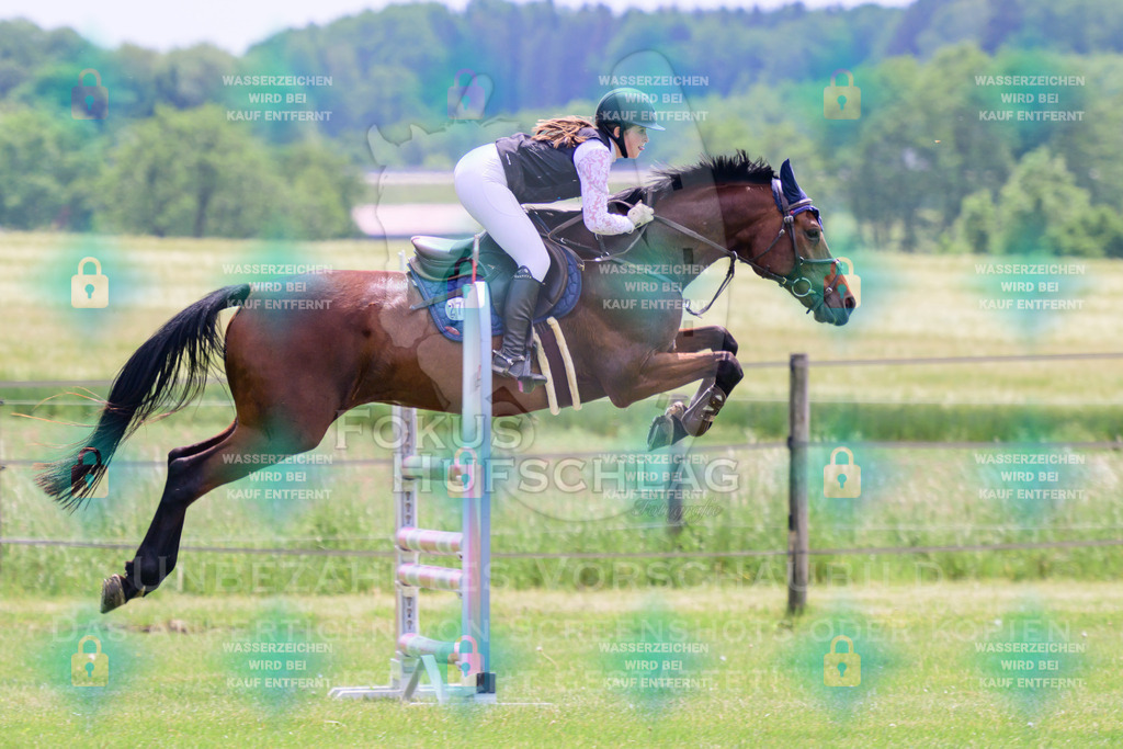 30052026-Forstinning-Prfg23-0047 | Fokus Hufschlag Fotografie - Realisiert mit Pictrs.com