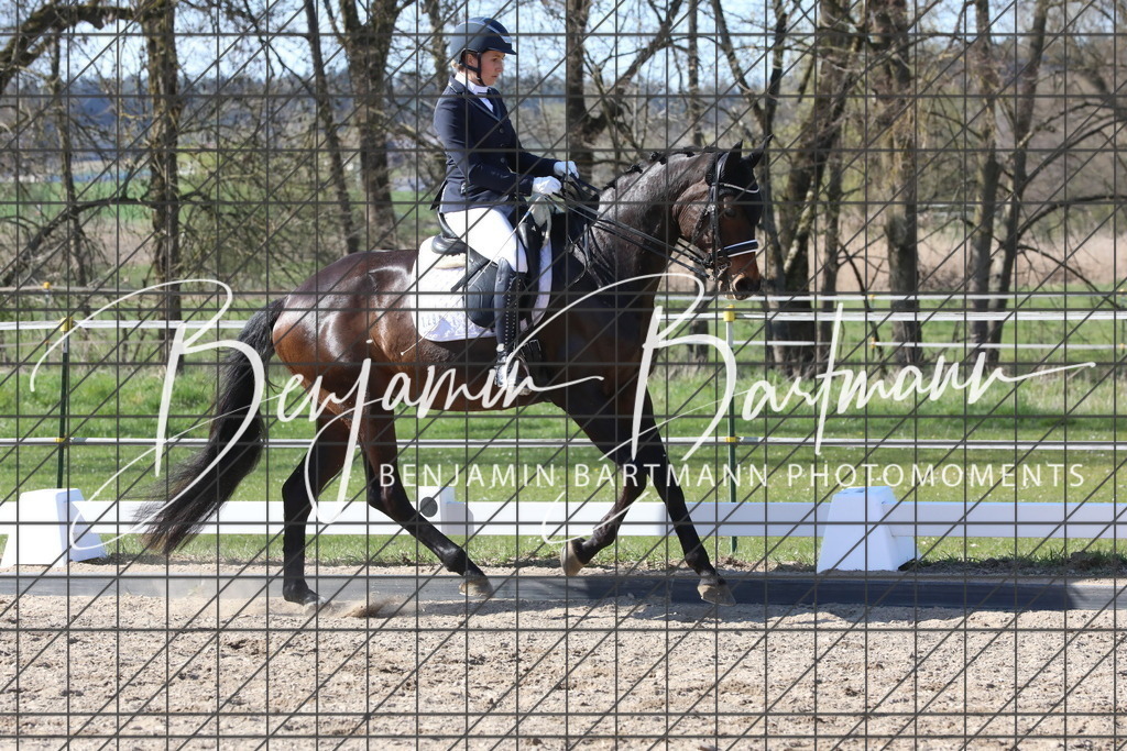 AZ2A4989 | Benjamin Bartmann Photomoments