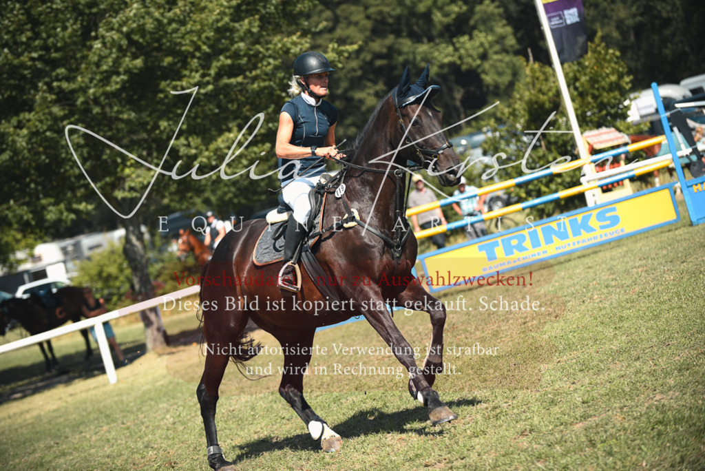 DSC_6930 | Pferde- und Turnierfotografie in Westsachsen. Pferdeportraits, Auftragszeichnungen und intuitive Kunst.