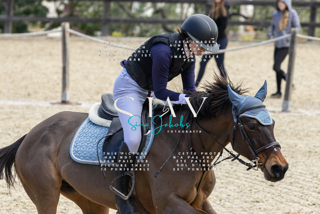 IMG_4947 | s-jay-photography - Realisiert mit Pictrs.com