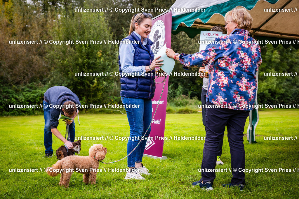 Sven Pries | 2024-09-22 - Hunderennen Baden-BadenPudelverein - Realisiert mit Pictrs.com