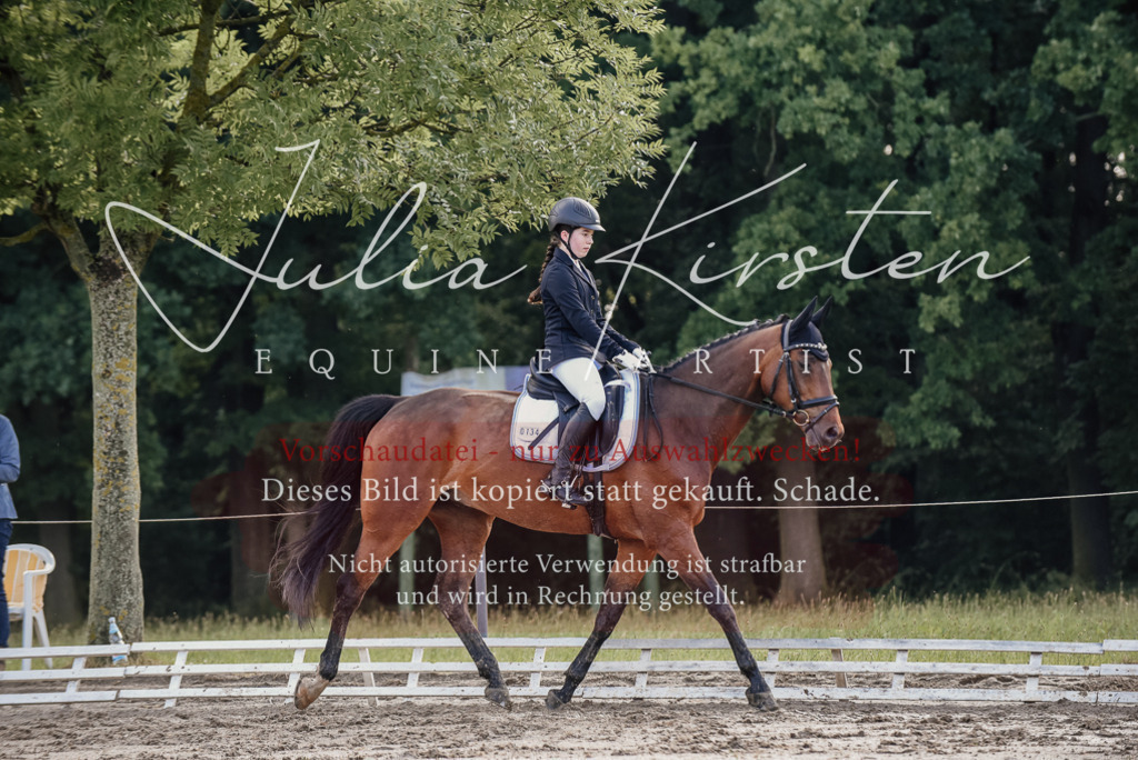 DSC_8025 | Pferde- und Turnierfotografie in Westsachsen. Pferdeportraits, Auftragszeichnungen und intuitive Kunst.