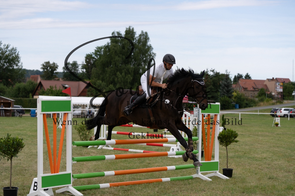 A7V01341 | Pferdefotograf