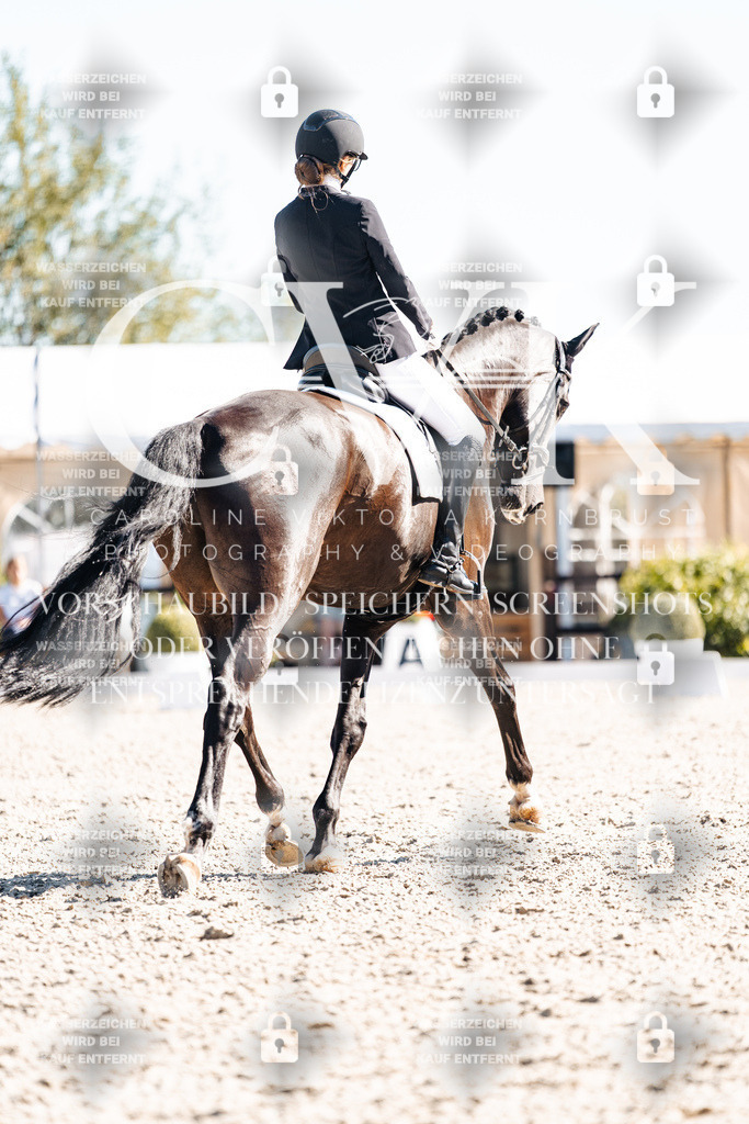 CK908980 | Turnierfotografie Pferdefotografie Trier Rheinland-Pfalz Pferdesport Reitsport Tierfotografie Sportfotografie Pferdevideo Pferdevideografie Equestrianvideography equestrianphotography  - Realisiert mit Pictrs.com