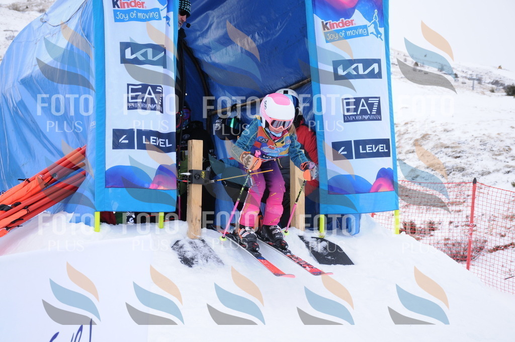 DSC_8139 | holidayphoto