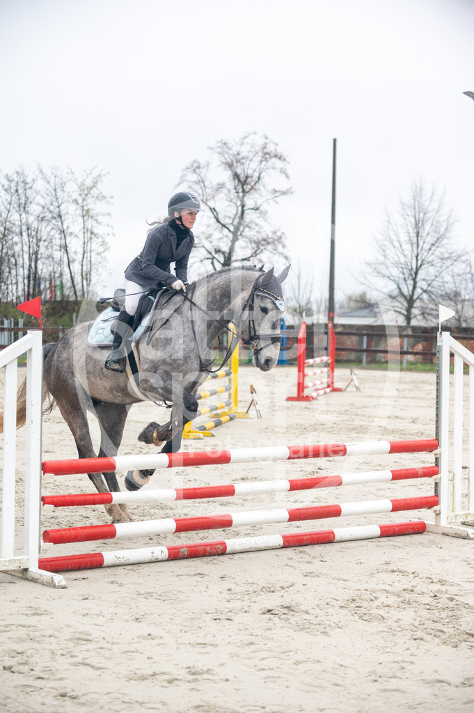 DSC_8584 | sattelsport - Realisiert mit Pictrs.com