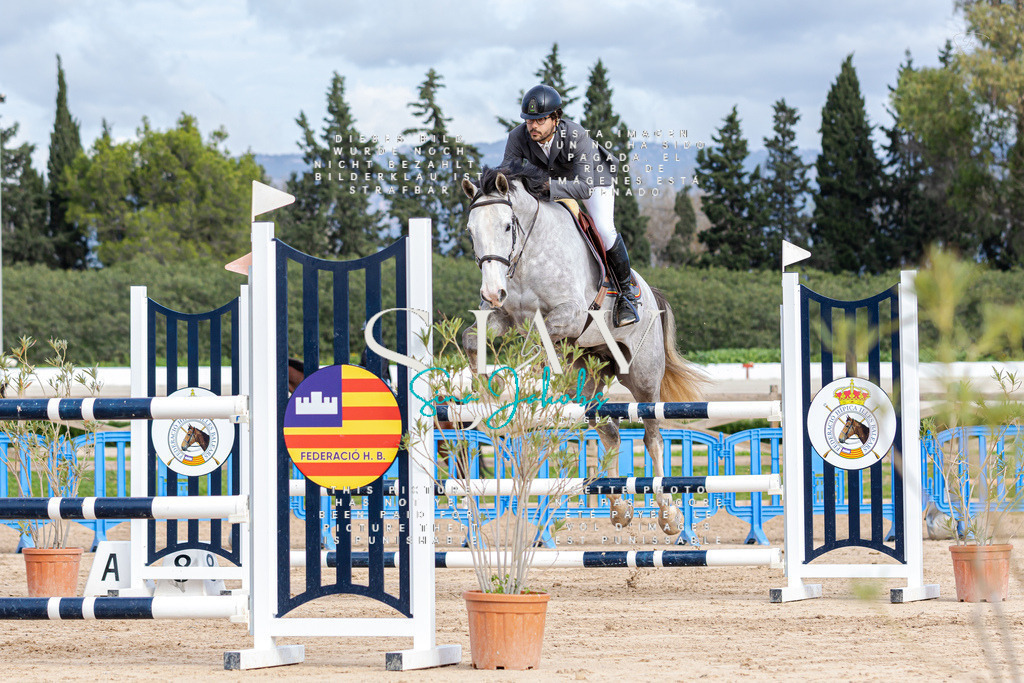 IMG_2585 | s-jay-photography - Realisiert mit Pictrs.com