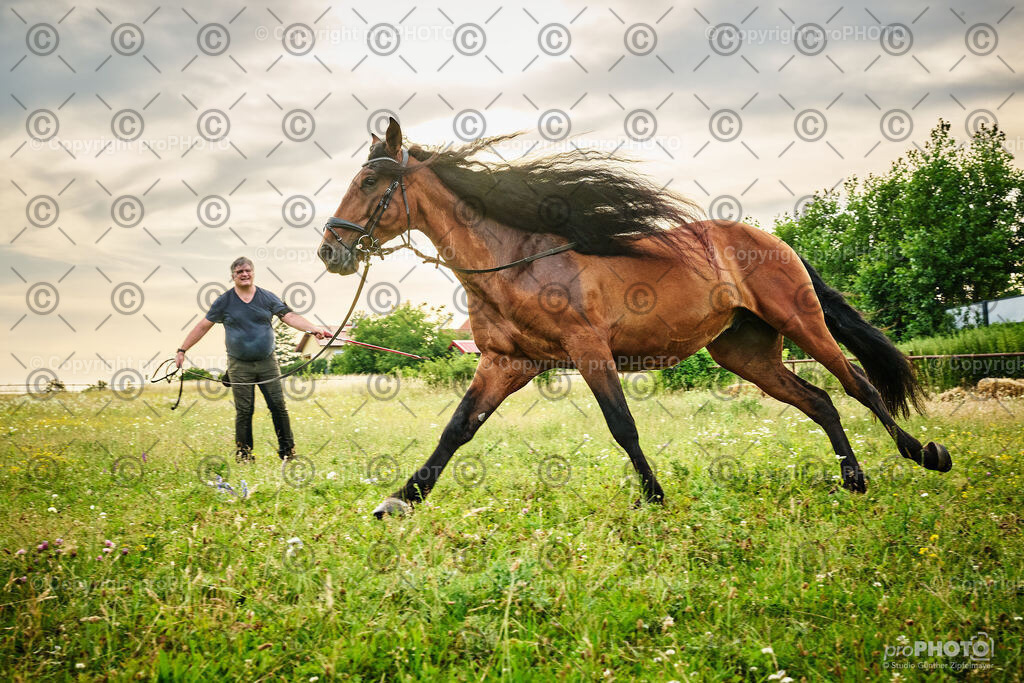 089_202406_Niki-Herodes_NZ9_9824 | proPHOTO - Realisiert mit Pictrs.com