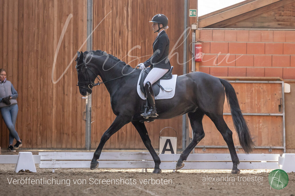 250405_Barop_07_004 | farbklaex.com
