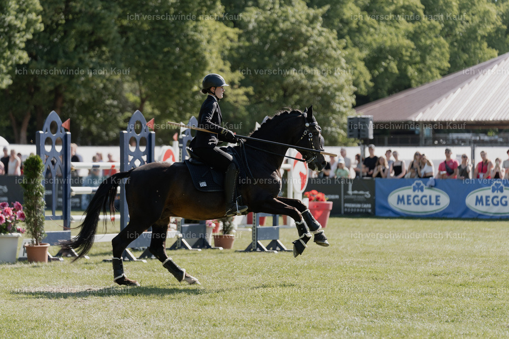 WE_MOS_Stoib_309_PI2025_2235 | Pferd International München 2025