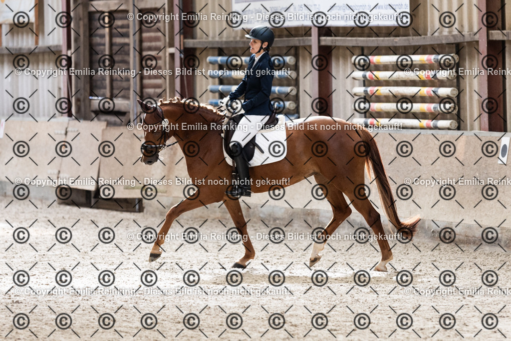 CL5A1250 | Emilia Reinking Fotografie - Realisiert mit Pictrs.com