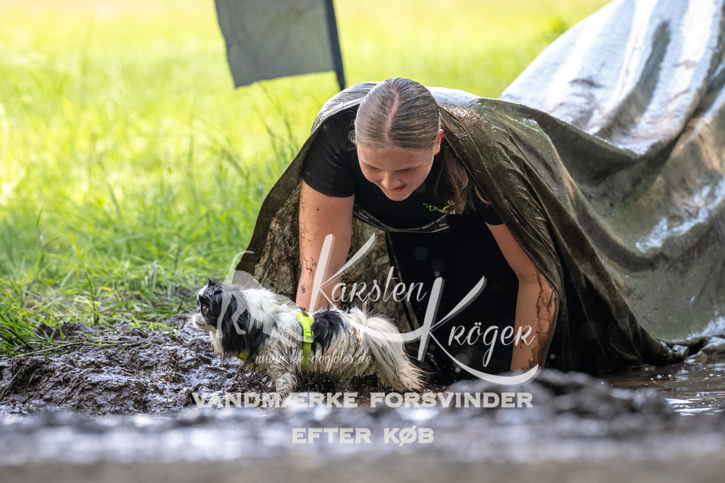 1205_ZZ91346 | kk-dogfotos