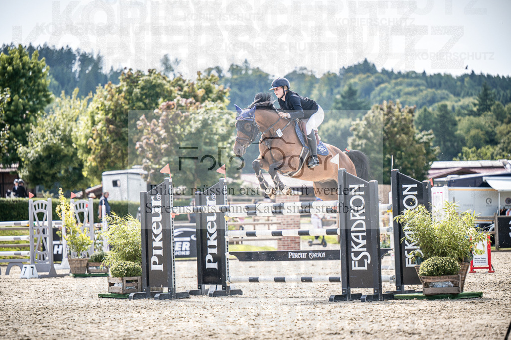 DOS_8399 | Entdecke hochwertige Reitturnierfotos von Foto Oger. Professionell, emotional und authentisch – jetzt Lieblingsmomente im Shop bestellen.Deutschlandweite Turnierfotografie. - Realisiert mit Pictrs.com