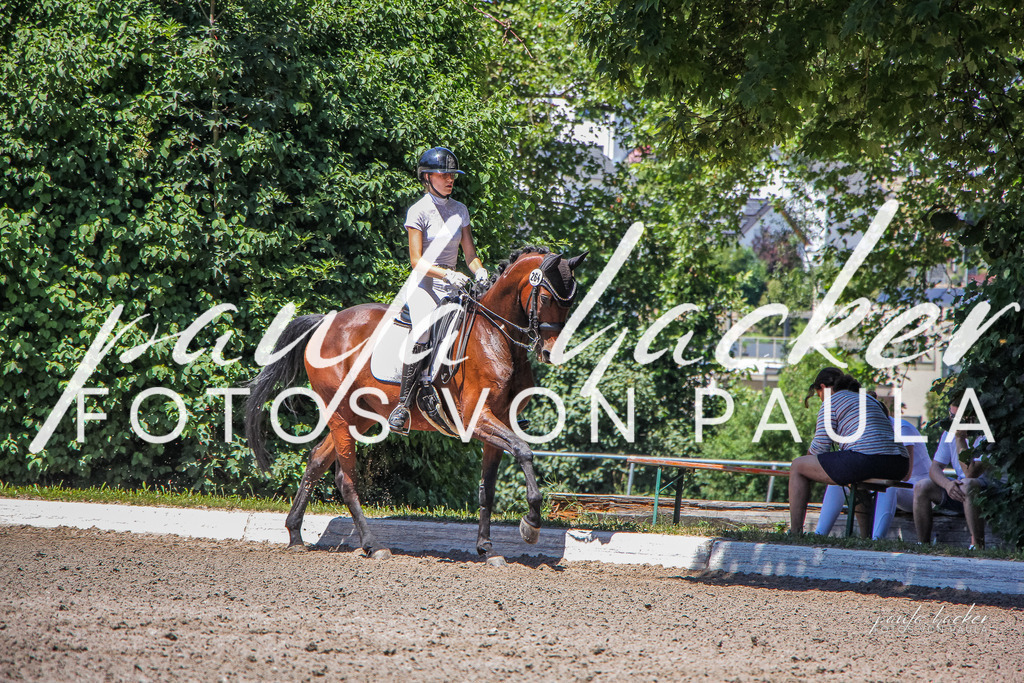 IMG_1032 | Erleben Sie dynamische Sport- und emotionale Tierfotografie in Süddeutschland mit Fotos von Paula. Spezialisiert auf Pferde- und Hundefotografie sowie Sportevents. Kontaktieren Sie mich für einzigartige und ausdrucksstarke Bilder Ihrer besonderen Momente. - Realisiert mit Pictrs.com