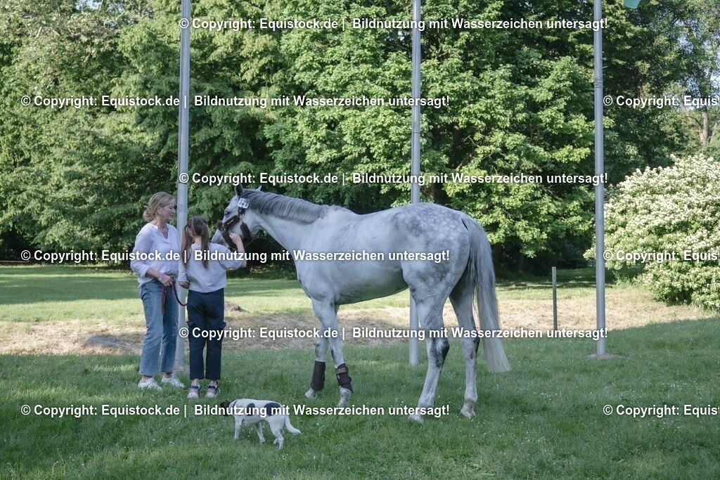 ZFC_4138 | equistock