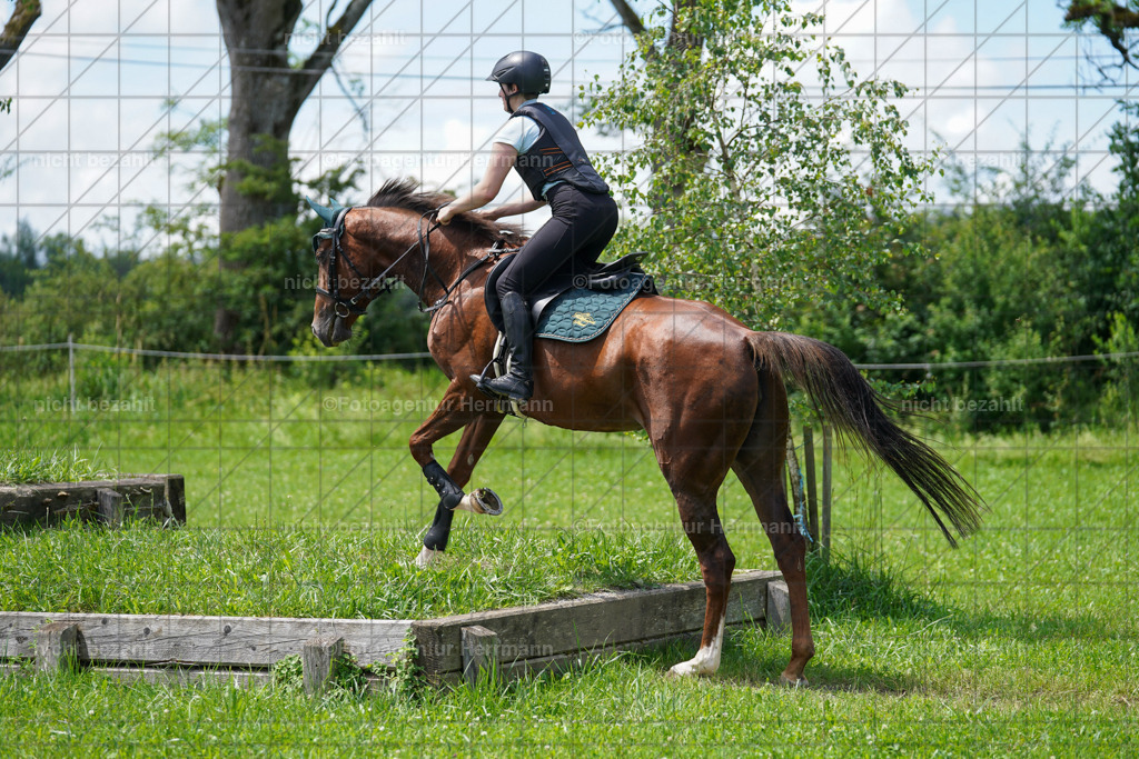20240622-FAH06956 | Turnierfotografen Bayern, Reitsportbilder aus dem Geländekurs mit Felix Etzel auf dem Gut Waitzacker 2024