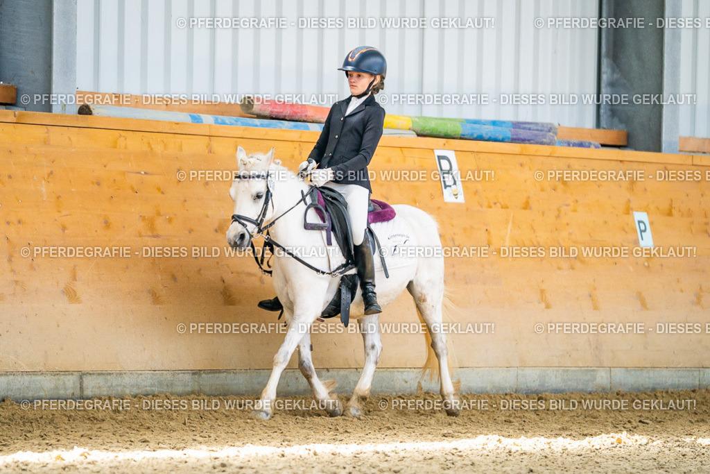 DSC03258 | Pferdegrafie