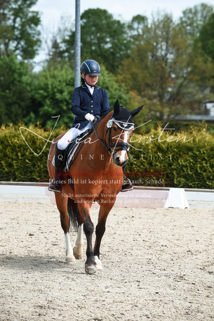 20230518_JK-Röhrsdorf-11-0631 | Pferde- und Turnierfotografie in Westsachsen. Pferdeportraits, Auftragszeichnungen und intuitive Kunst.