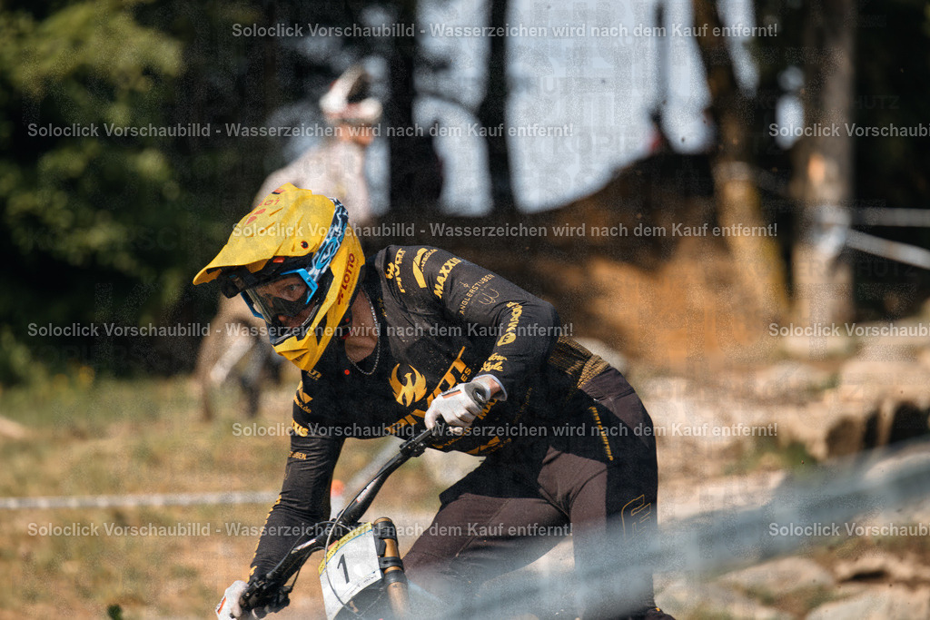 Mountainbiker in Aktion | Hier ist eine detaillierte Analyse des Bildes, kategorisiert nach verschiedenen Aspekten: - Realisiert mit Pictrs.com