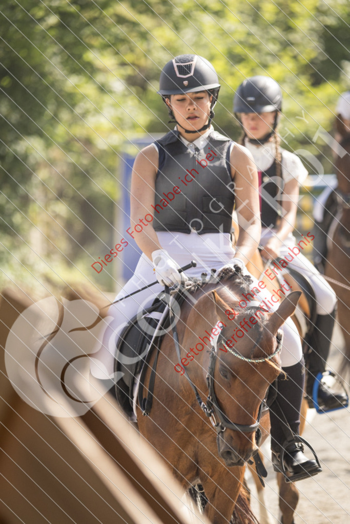 IMG_5723 | Sport-, Event- und Tierfotos in Profiqualität. Einfach auswählen, bestellen und herunterladen. Dein Moment – perfekt festgehalten.