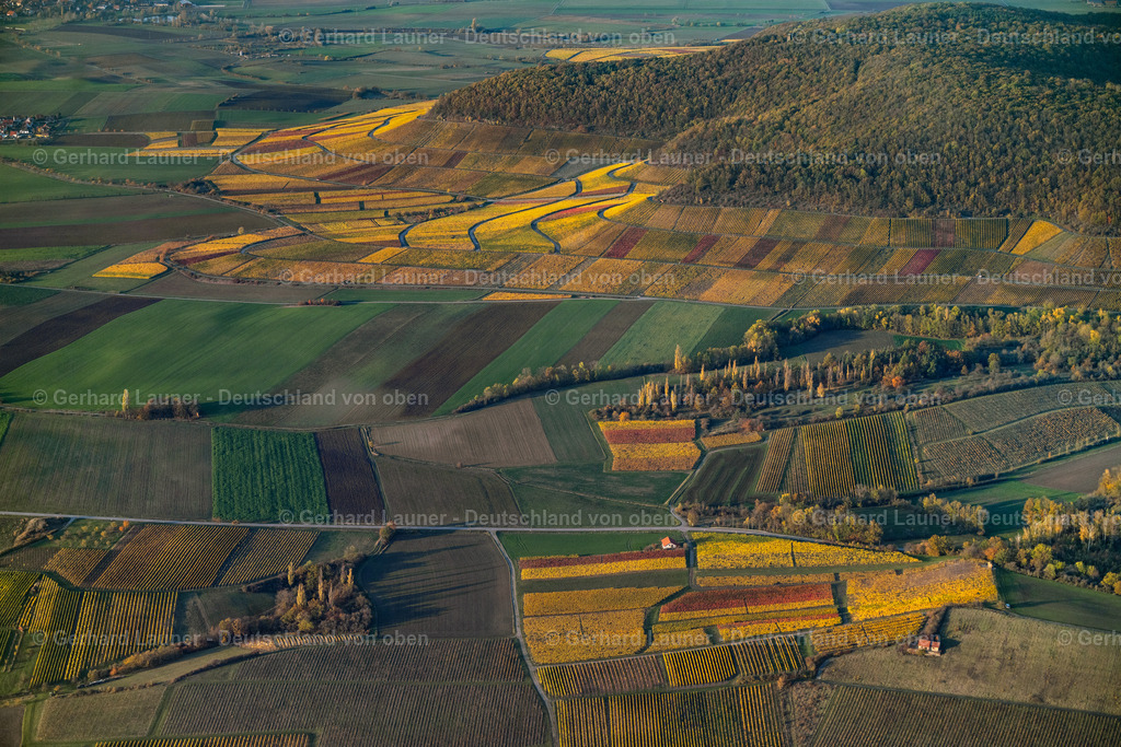 4042459 | Weinbergslandschaft an der Mainschleife bei Escherndorf und Nordheim