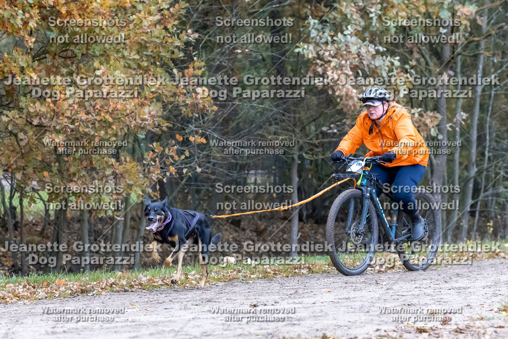 Dog Paparazzi - SD CaniX Championship 2025-272 | Dog Paparazzi Jeanette Grottendiek Fotografie & Videografie - Realisiert mit Pictrs.com