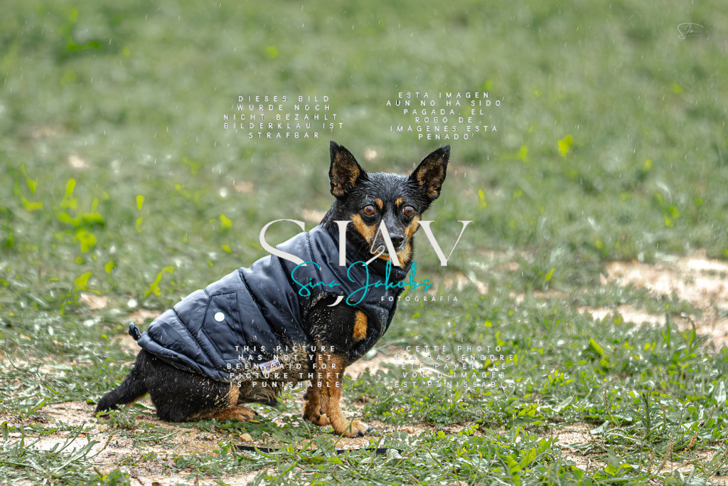 IMG_1679-Verbessert-RR | s-jay-photography - Realisiert mit Pictrs.com