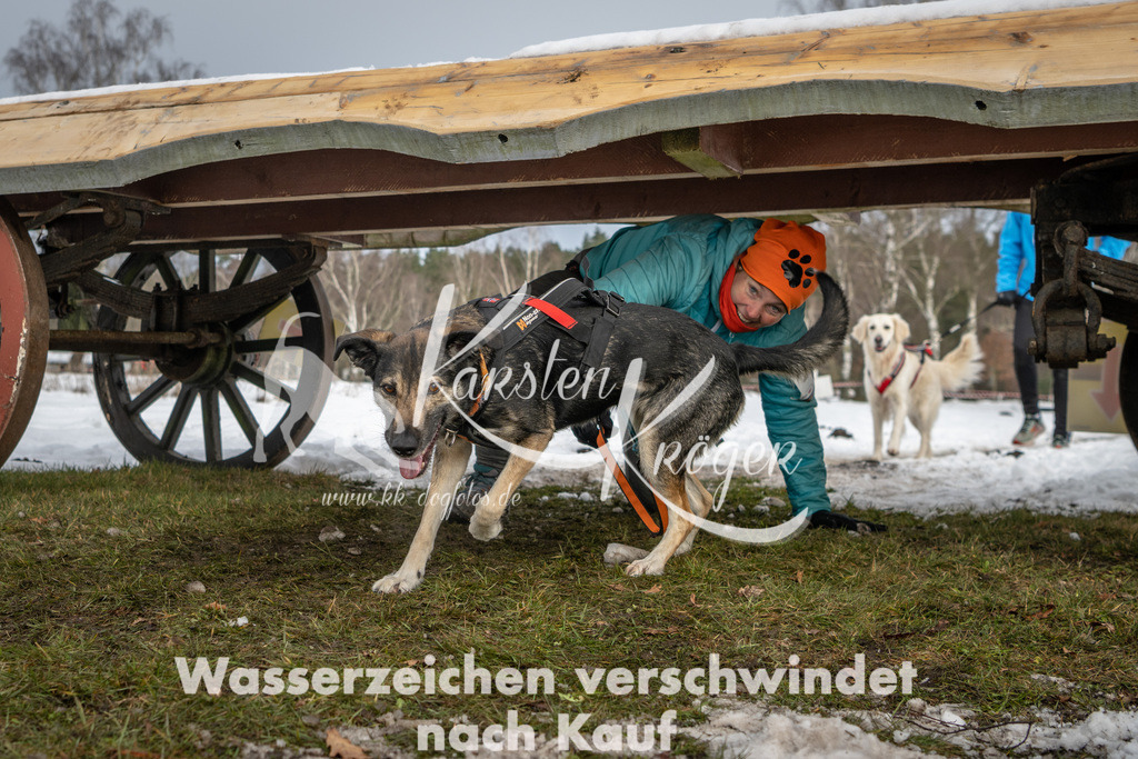 0931_ZZ90631 | kk-dogfotos