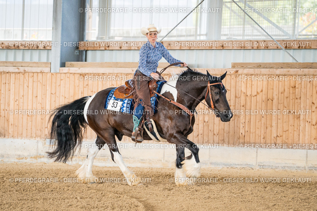 DSC02334 | Pferdegrafie