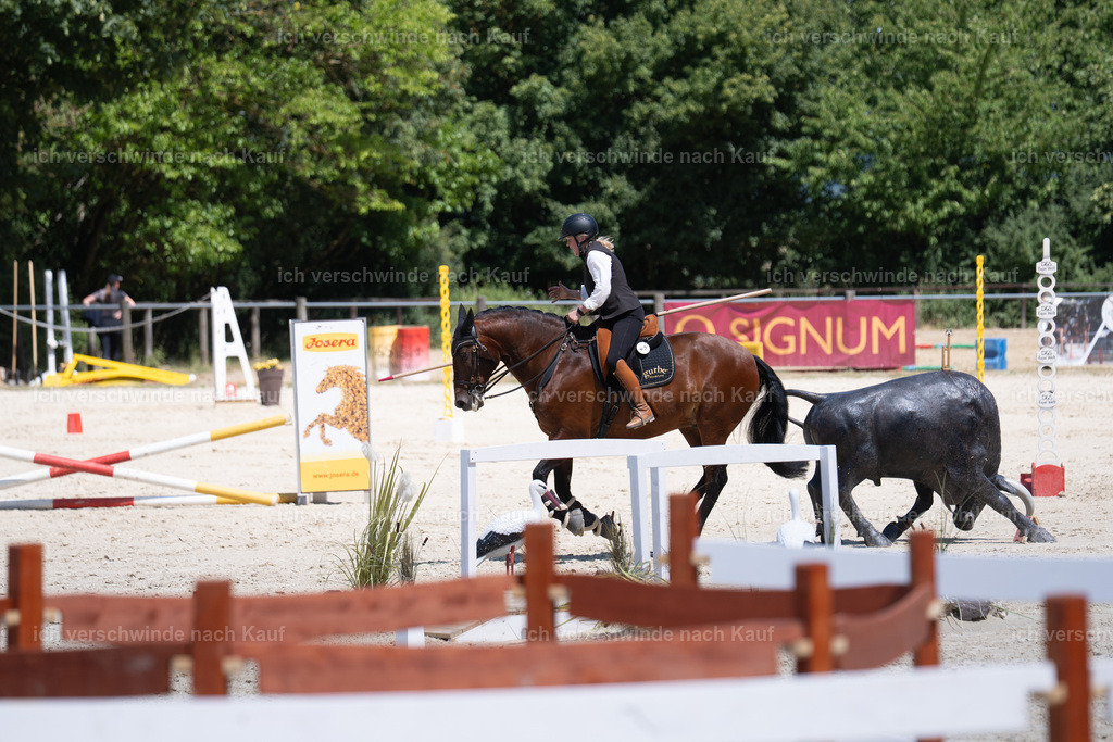 WM_SP_97_SinaFilmArt_IN07318 | working equitationturnier fotograf videograf stoibphotography marixx film working equitation deutschland reitsport turnierfotografie eventfotografie equestrian events