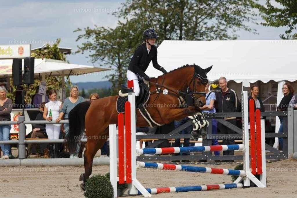 JoYaR6_Heidehof_00437 | JoYa Fotografie - Realisiert mit Pictrs.com